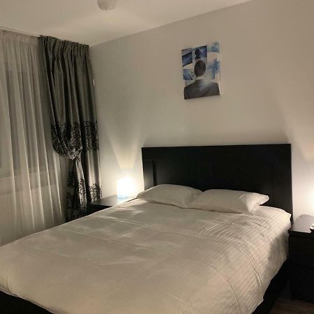 Apartament Cristina ブカレスト エクステリア 写真