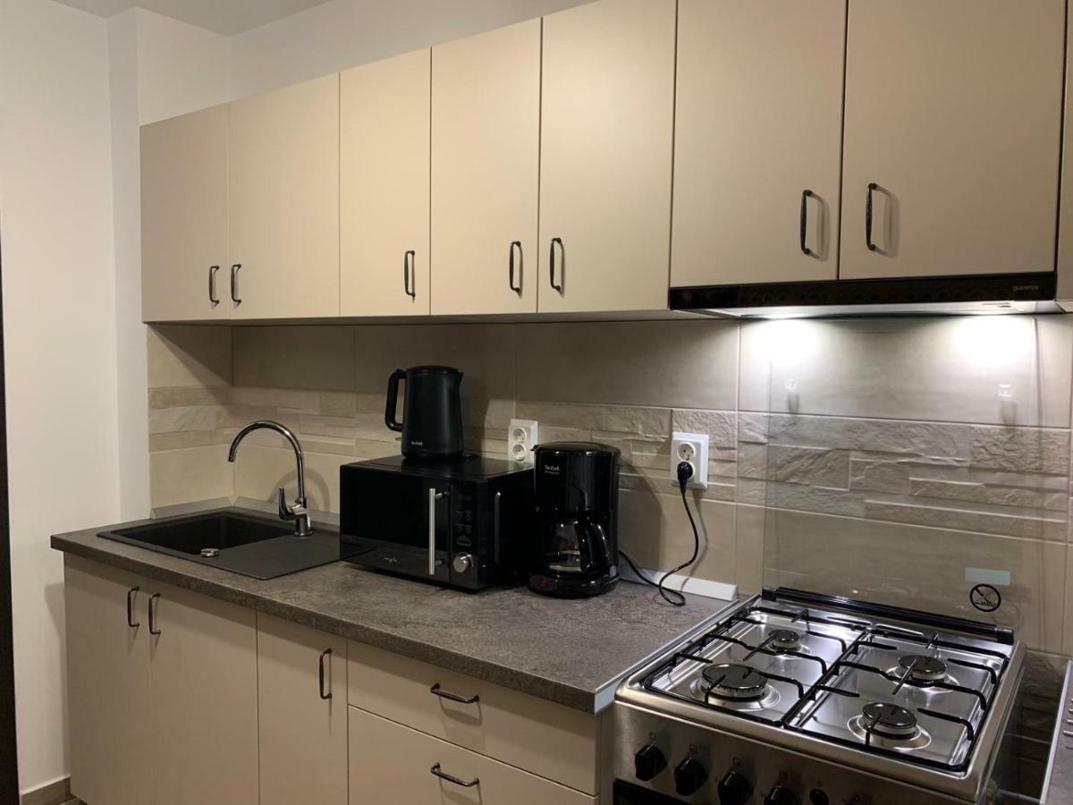 Apartament Cristina ブカレスト エクステリア 写真